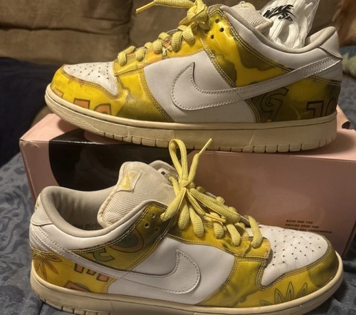 Nike dunk low - pro, sb